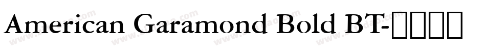 American Garamond Bold BT字体转换